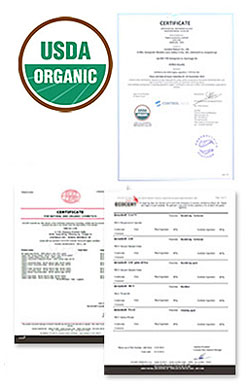 Active Refresh Herb Peel organic certified